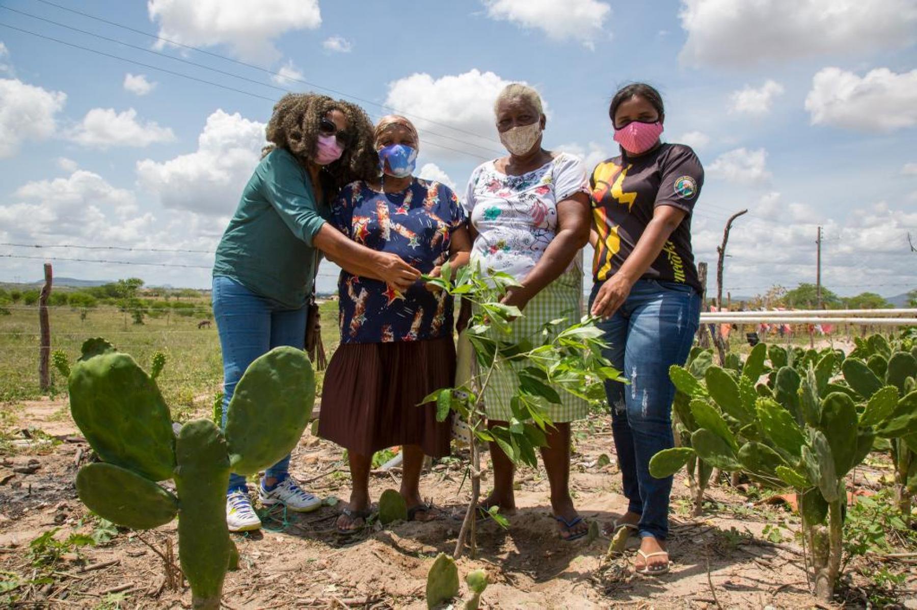 Apoiado pela Secom/AL, projeto "Um Quilombo de Baobás” chega em Carneiros, sertão de Alagoas