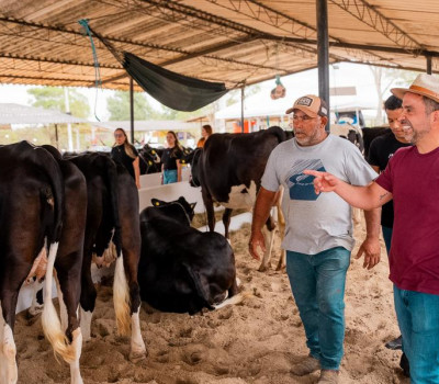 Agência Alagoas